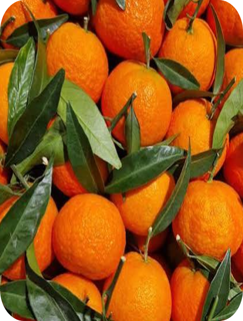Mandarines