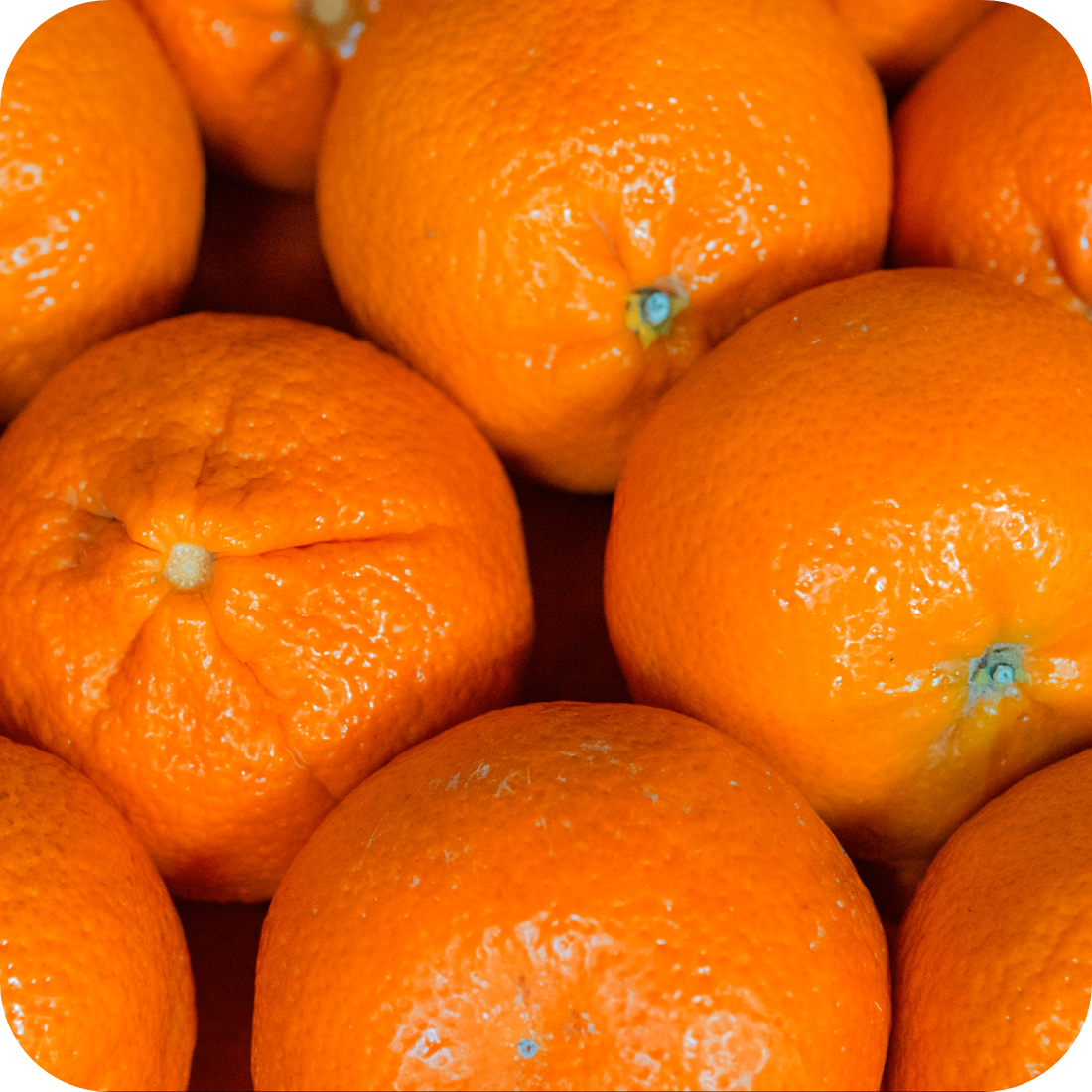 Oranges